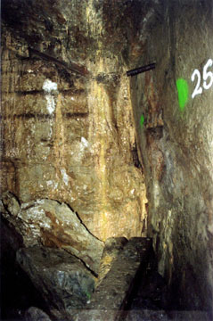 Bottom of arsenic vault in Giant mine (Yellowknife) showing seepage. K. O’Reilly photo.