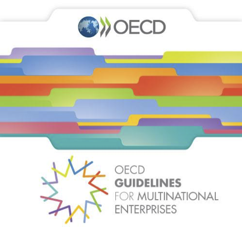 OECD guidelines