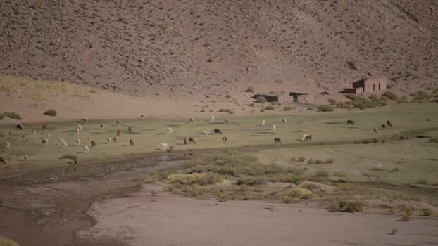 Salinas Grandes