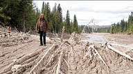 Mount Polley tailings spill 